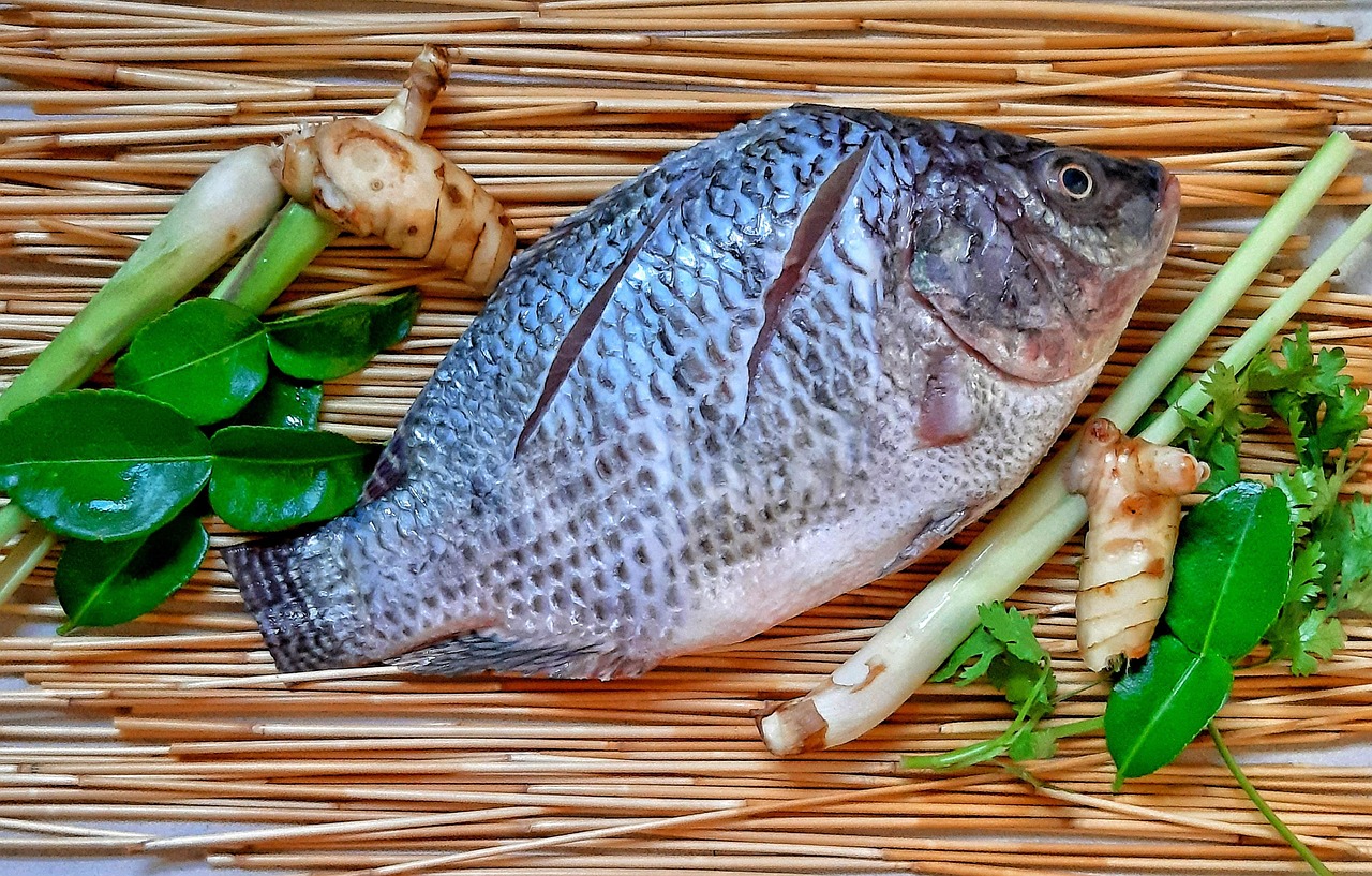 Grilled Tilapia